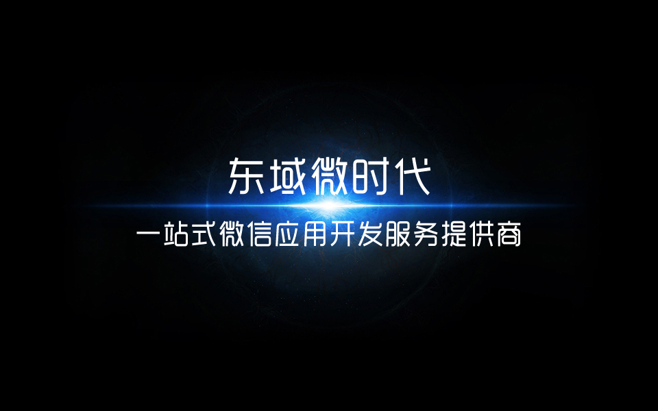 东域信息